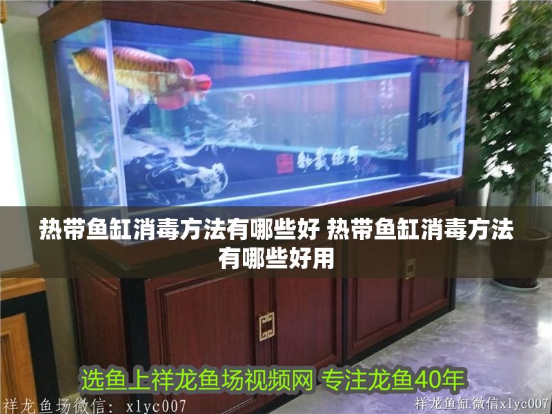 熱帶魚缸消毒方法有哪些好 熱帶魚缸消毒方法有哪些好用