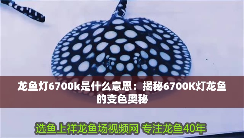 龍魚燈6700k是什么意思：揭秘6700K燈龍魚的變色奧秘