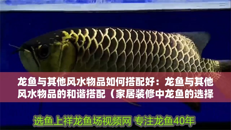 龍魚與其他風水物品如何搭配好：龍魚與其他風水物品的和諧搭配（家居裝修中龍魚的選擇）