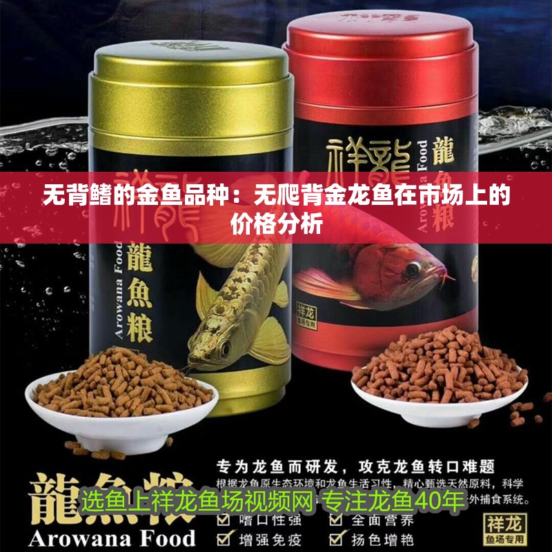 無背鰭的金魚品種：無爬背金龍魚在市場上的價格分析 無背鰭的金魚品種：無爬背金龍魚在市場上的價格分析 水族問答