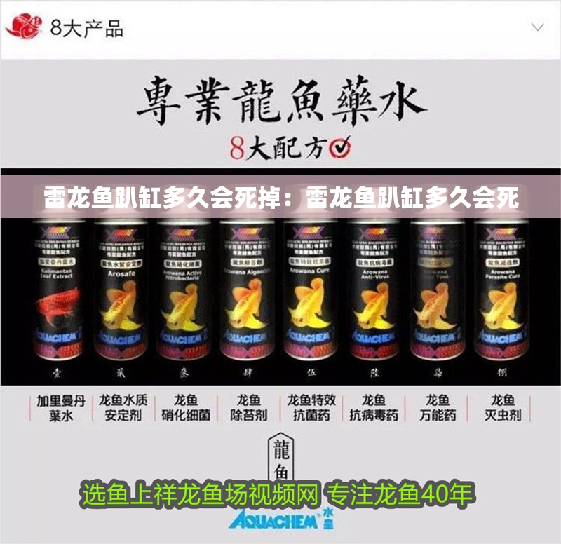 雷龍魚趴缸多久會死掉：雷龍魚趴缸多久會死