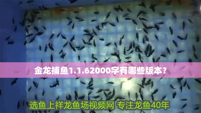 金龍捕魚1.1.62000字有哪些版本？