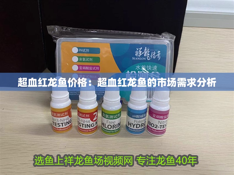 超血紅龍魚價格：超血紅龍魚的市場需求分析