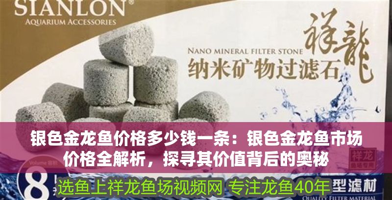 銀色金龍魚價(jià)格多少錢一條：銀色金龍魚市場價(jià)格全解析，探尋其價(jià)值背后的奧秘