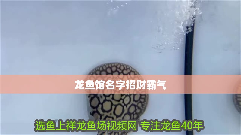 紅龍魚(yú)60厘米需要多少年壽命（紅龍魚(yú)的壽命多長(zhǎng)時(shí)間能活多久紅龍魚(yú)的壽命是多少年）