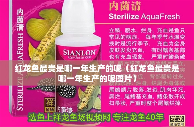 紅龍魚最貴是哪一年生產的呢（紅龍魚最貴是哪一年生產的呢圖片）