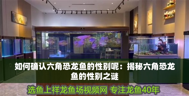 如何確認六角恐龍魚的性別呢：揭秘六角恐龍魚的性別之謎