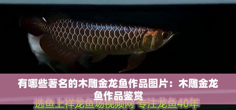 有哪些著名的木雕金龍魚作品圖片：木雕金龍魚作品鑒賞