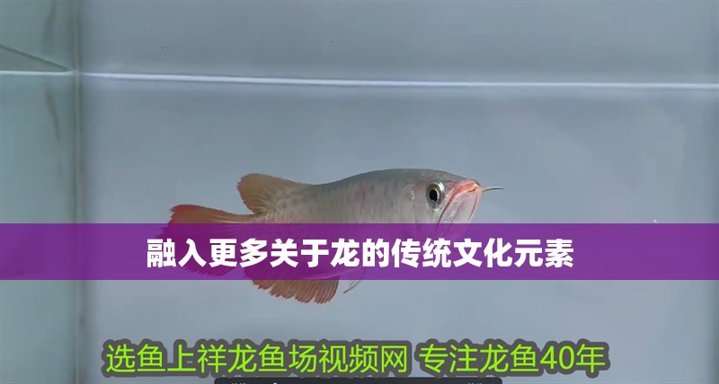 融入更多關于龍的傳統文化元素