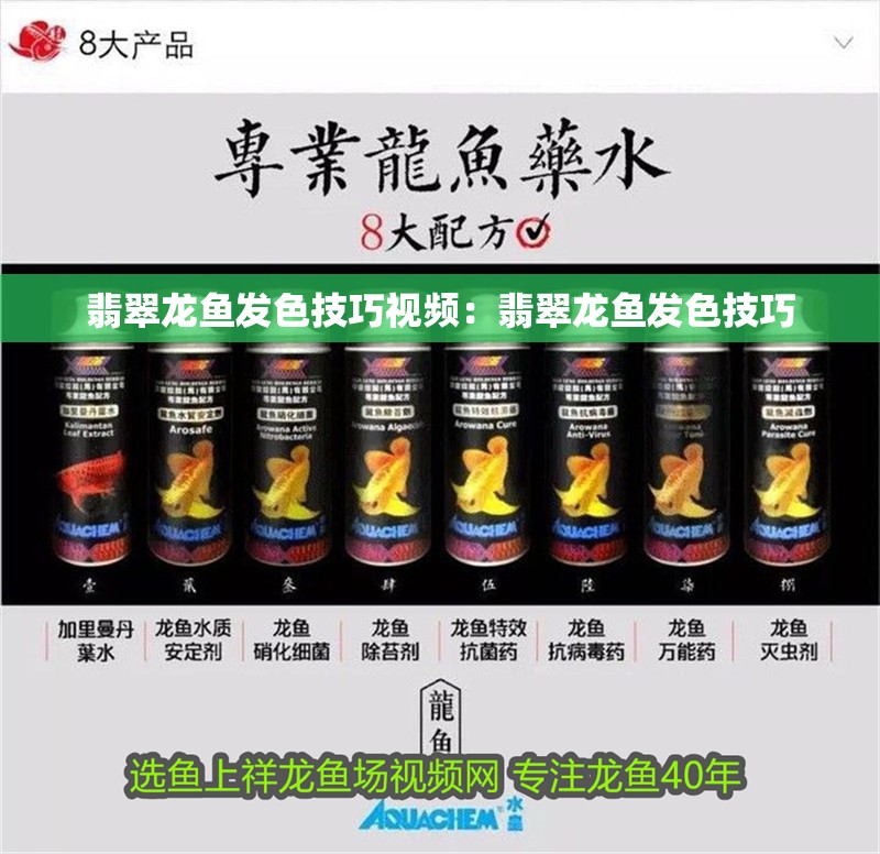 翡翠龍魚發色技巧視頻：翡翠龍魚發色技巧
