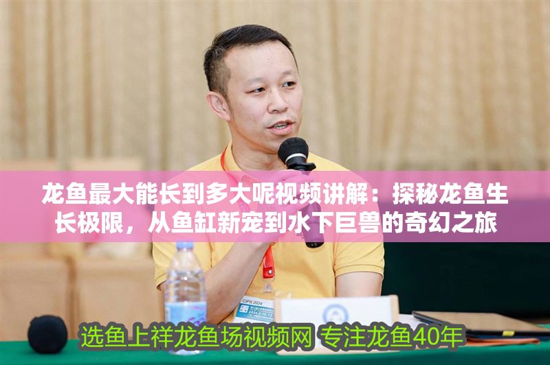 龍魚最大能長到多大呢視頻講解：探秘龍魚生長極限，從魚缸新寵到水下巨獸的奇幻之旅 龍魚最大能長到多大呢視頻講解：探秘龍魚生長極限，從魚缸新寵到水下巨獸的奇幻之旅 龍魚百科 第1張