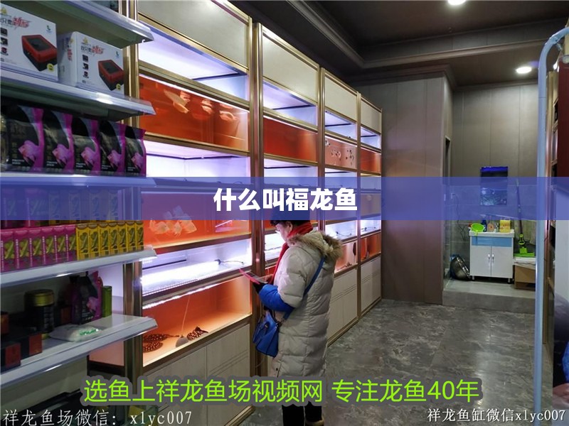 什么叫福龍魚