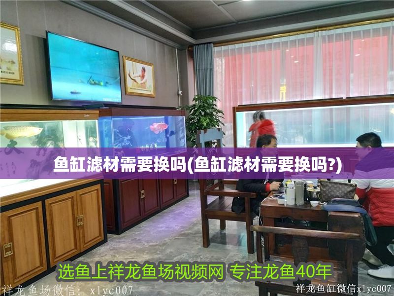魚缸濾材需要換嗎(魚缸濾材需要換嗎?)