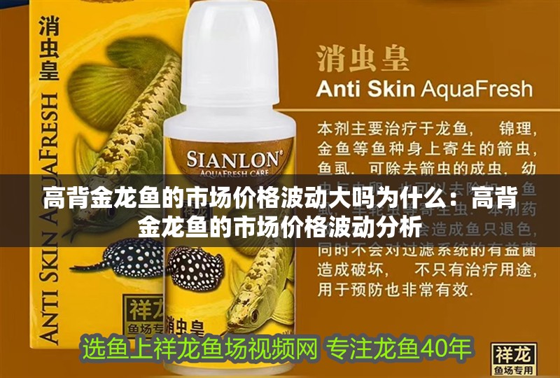 高背金龍魚的市場價格波動大嗎為什么：高背金龍魚的市場價格波動分析