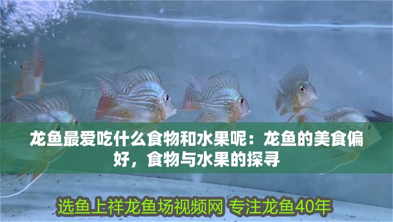 龍魚最愛吃什么食物和水果呢：龍魚的美食偏好，食物與水果的探尋