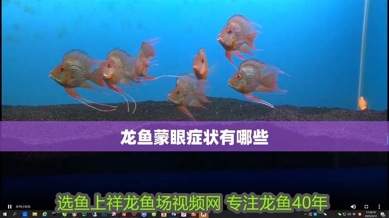 龍魚蒙眼癥狀有哪些