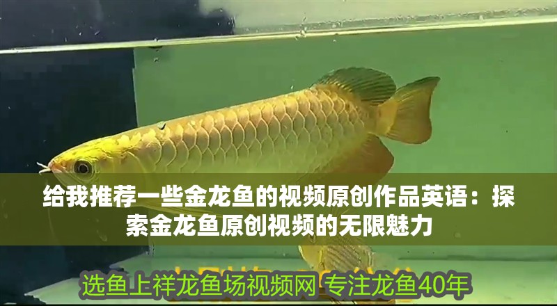 給我推薦一些金龍魚的視頻原創作品英語：探索金龍魚原創視頻的無限魅力
