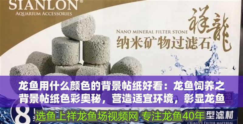 龍魚用什么顏色的背景帖紙好看：龍魚飼養之背景帖紙色彩奧秘，營造適宜環境，彰顯龍魚風采