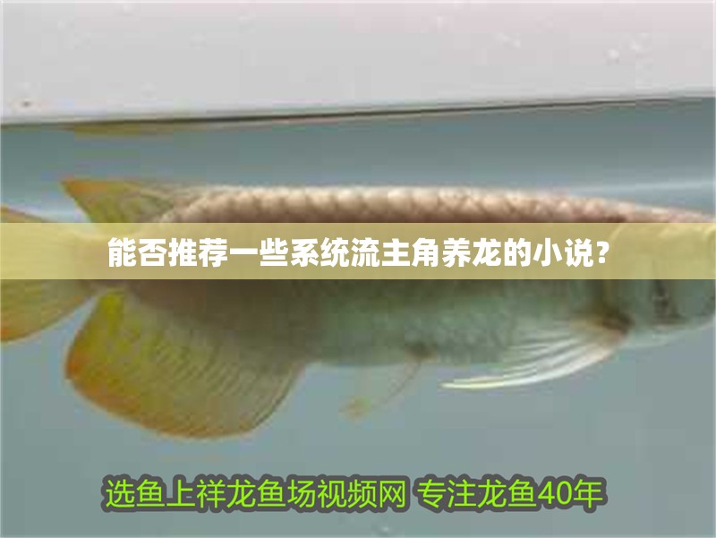 能否推薦一些系統流主角養龍的小說？