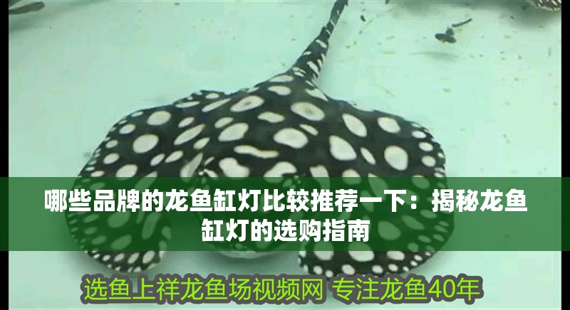 哪些品牌的龍魚缸燈比較推薦一下：揭秘龍魚缸燈的選購指南