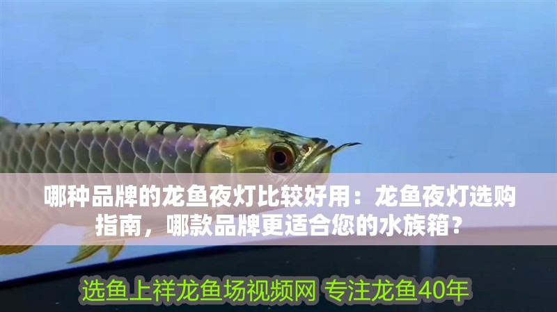 哪種品牌的龍魚夜燈比較好用：龍魚夜燈選購指南，哪款品牌更適合您的水族箱？