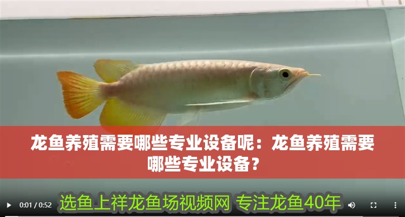 龍魚養殖需要哪些專業設備呢：龍魚養殖需要哪些專業設備？