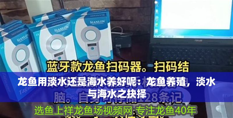 龍魚用淡水還是海水養好呢：龍魚養殖，淡水與海水之抉擇