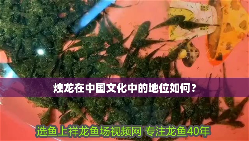 燭龍在中國文化中的地位如何？