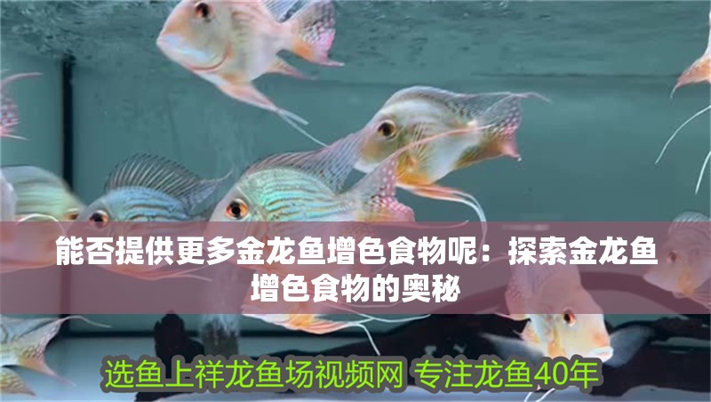 能否提供更多金龍魚增色食物呢：探索金龍魚增色食物的奧秘