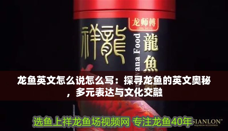 龍魚英文怎么說怎么寫：探尋龍魚的英文奧秘，多元表達與文化交融 龍魚英文怎么說怎么寫：探尋龍魚的英文奧秘，多元表達與文化交融 龍魚百科 第1張