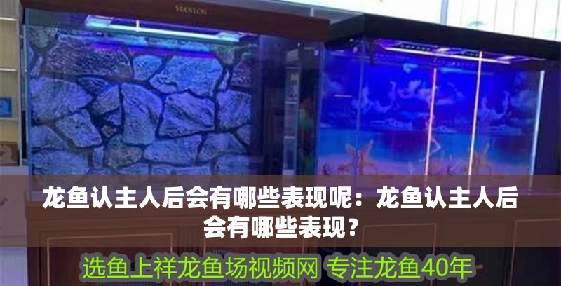 龍魚認(rèn)主人后會有哪些表現(xiàn)呢：龍魚認(rèn)主人后會有哪些表現(xiàn)？