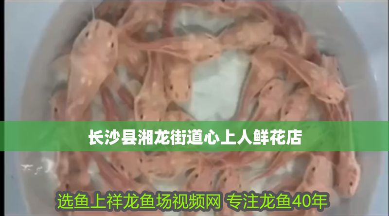 長沙縣湘龍街道心上人鮮花店