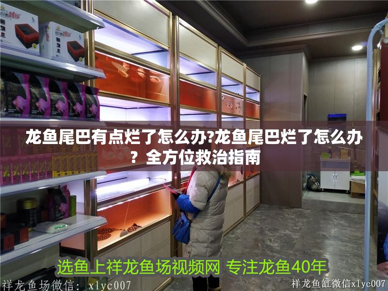 龍魚尾巴有點爛了怎么辦?龍魚尾巴爛了怎么辦？全方位救治指南