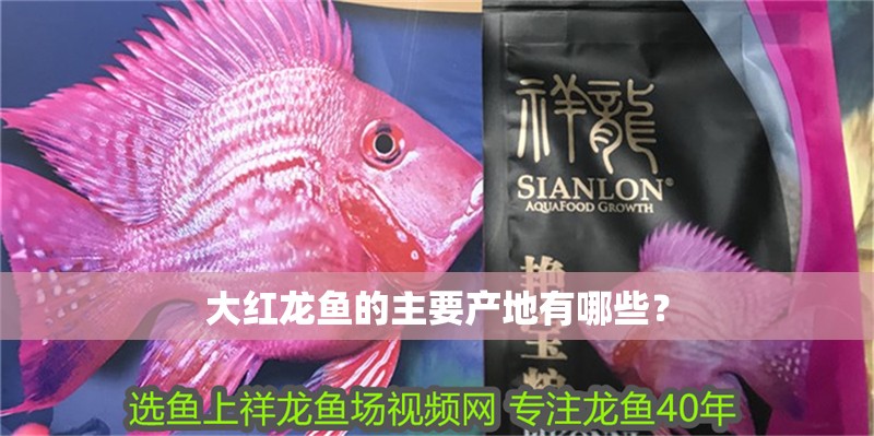 大紅龍魚的主要產地有哪些？