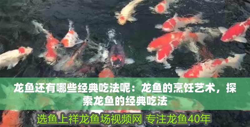 龍魚還有哪些經典吃法呢：龍魚的烹飪藝術，探索龍魚的經典吃法