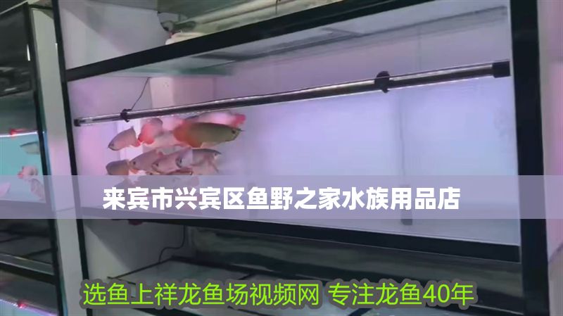 來賓市興賓區魚野之家水族用品店
