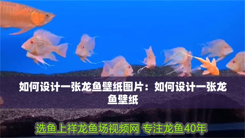 如何設計一張龍魚壁紙圖片：如何設計一張龍魚壁紙