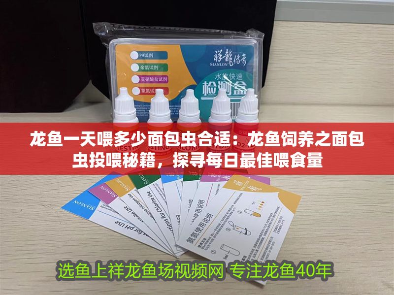 龍魚一天喂多少面包蟲合適：龍魚飼養之面包蟲投喂秘籍，探尋每日最佳喂食量