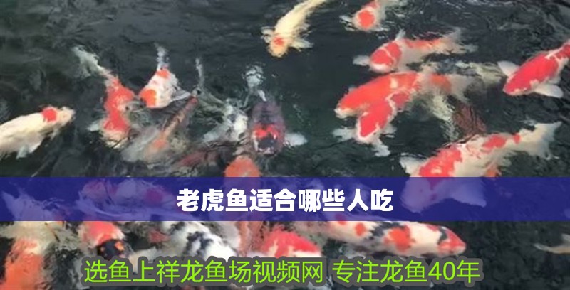 老虎魚適合哪些人吃