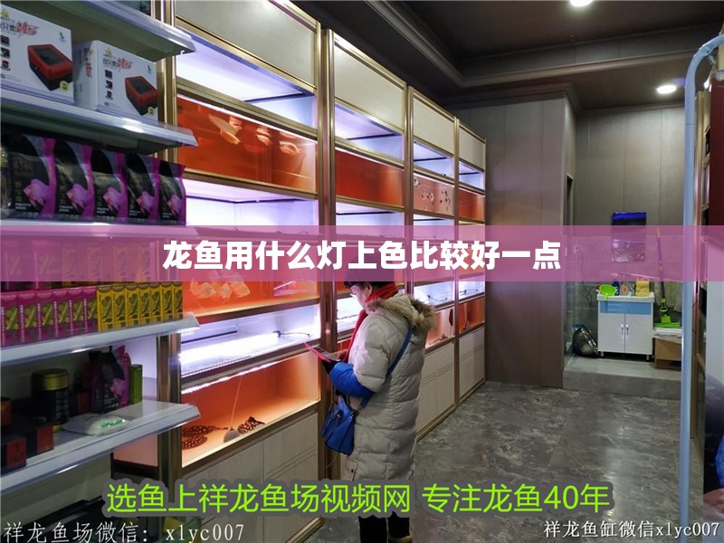 龍魚用什么燈上色比較好一點(diǎn)