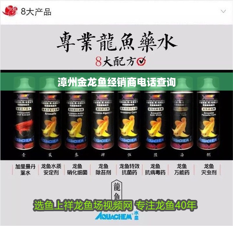 魚缸造景基礎知識視頻（魚缸造景材料選擇指南）