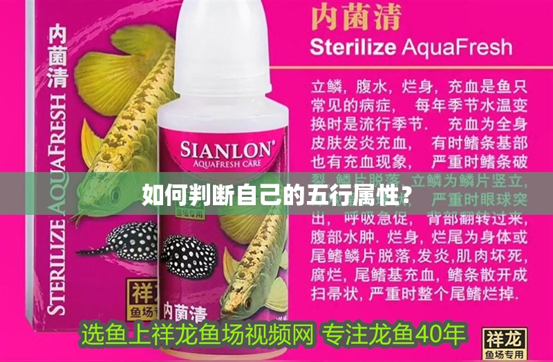 如何判斷自己的五行屬性？