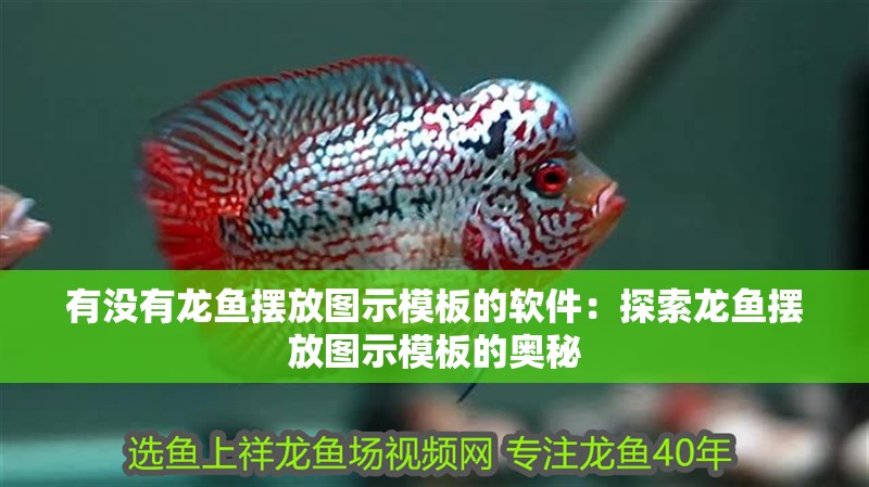 有沒有龍魚擺放圖示模板的軟件：探索龍魚擺放圖示模板的奧秘