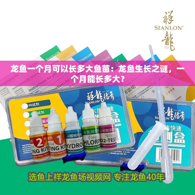 龍魚一個(gè)月可以長多大魚苗：龍魚生長之謎，一個(gè)月能長多大？