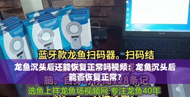 龍魚沉頭后還能恢復正常嗎視頻：龍魚沉頭后能否恢復正常？