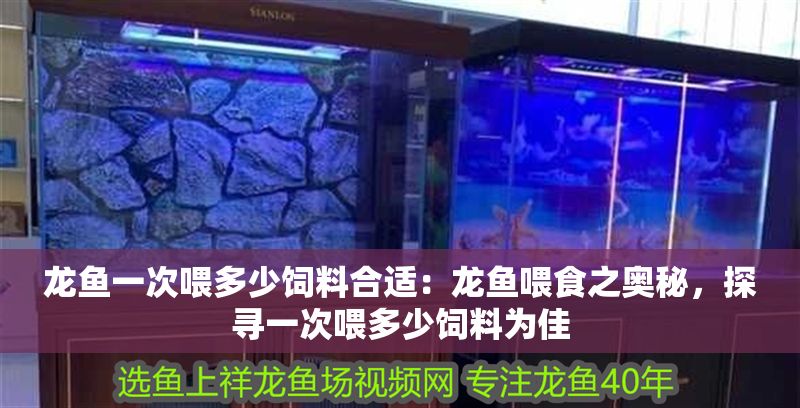 龍魚一次喂多少飼料合適：龍魚喂食之奧秘，探尋一次喂多少飼料為佳