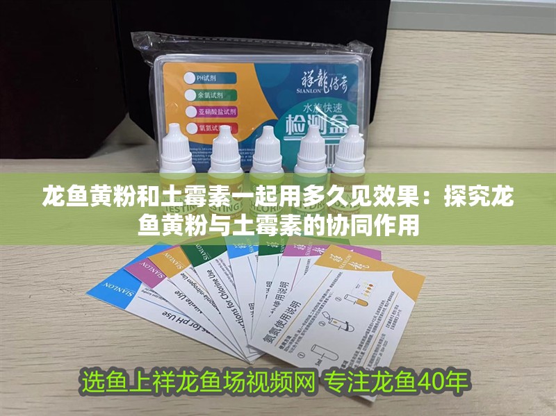 龍魚黃粉和土霉素一起用多久見效果：探究龍魚黃粉與土霉素的協同作用