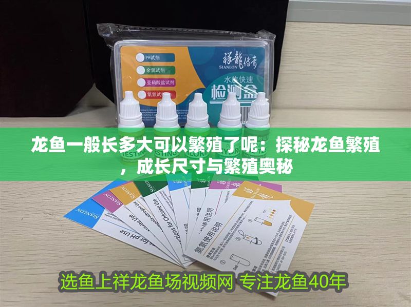 龍魚一般長(zhǎng)多大可以繁殖了呢：探秘龍魚繁殖，成長(zhǎng)尺寸與繁殖奧秘