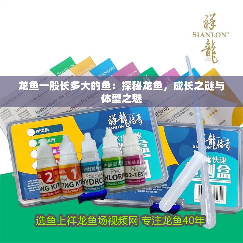 龍魚一般長多大的魚：探秘龍魚，成長之謎與體型之魅