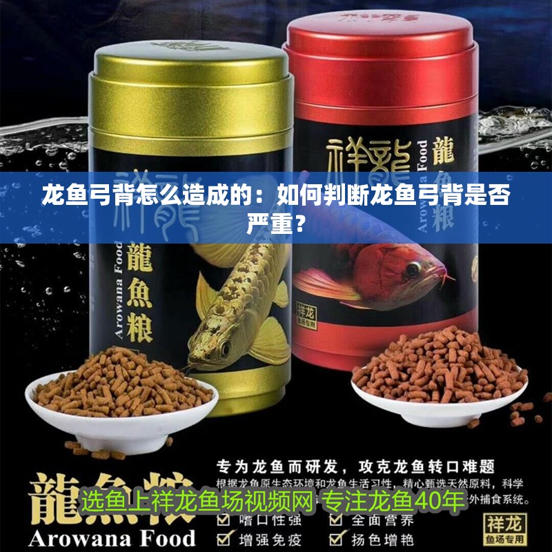 龍魚弓背怎么造成的：如何判斷龍魚弓背是否嚴(yán)重？